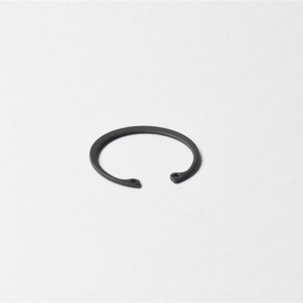 retainnig ring